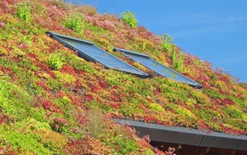 Crawcrook living roof systems